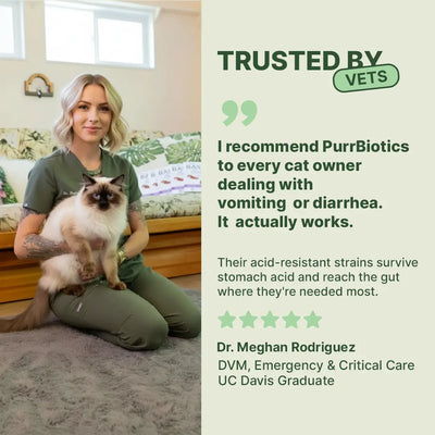 Vet-Developed Daily Probiotic for Cats