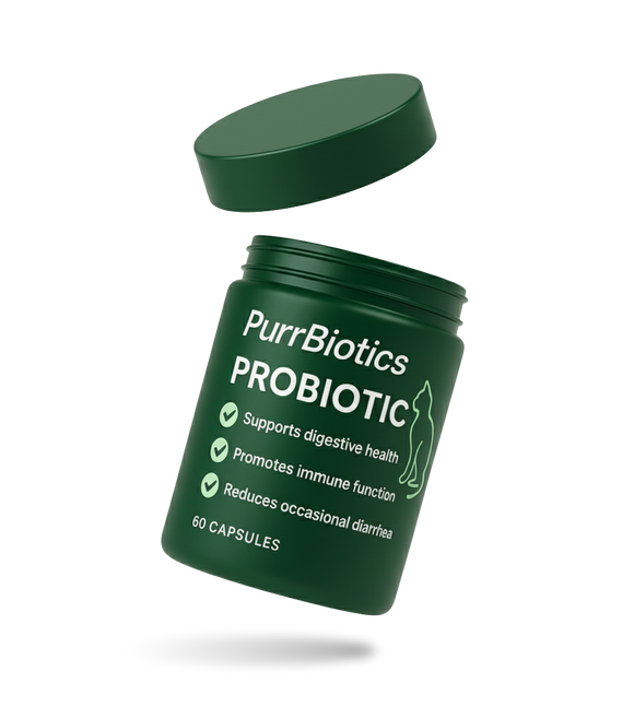 Feature product image