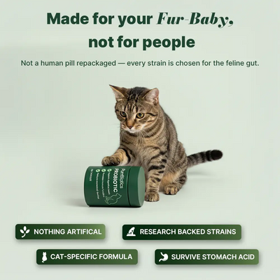 Vet-Developed Daily Probiotic for Cats